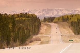 photo of Road Trips Canadian Rockies