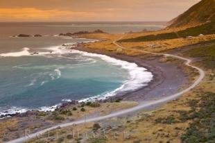 photo of Rocky Point Coastline North Island