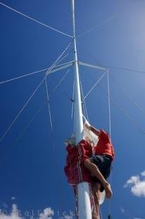 photo of Sail Dropping Carino Catamaran New Zealand