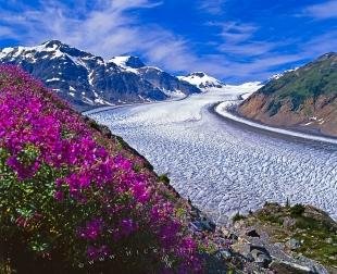 photo of Salmon Glacier Scenery British Columbia