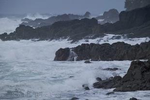 photo of San Josef Bay Storm Watching