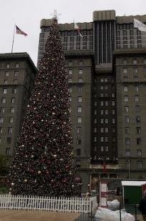 photo of San Francisco California USA