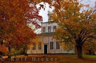 photo of Scattered Autumn Leaves Sharon Temple Ontario