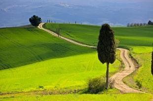 photo of Scenic Picture Country Road Tuscany Italy