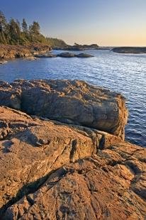 photo of Scenic Rugged West Coast Beach Picture