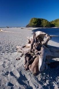photo of Ship Creek Driftwood South Island New Zealand
