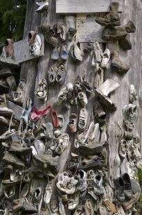 photo of Shoe Tree BC