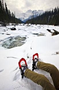 photo of Shoeshoes Mistaya River Snow Scenery