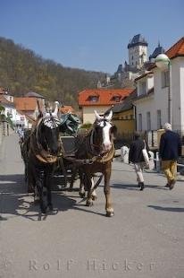 photo of Horse Buggy Sightseeing Rides Karlstein Village