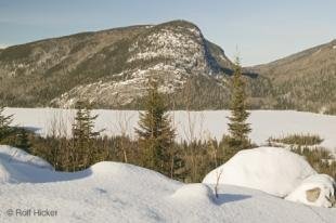 photo of Snow Scenery Laurentian Mountains