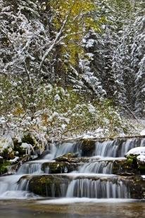 photo of Snow Covered Waterfall Scenery Waterton Lakes National Park