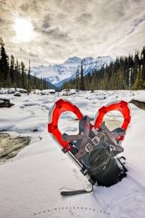 photo of Snowshoes Mistaya River Winter Recreation