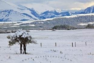 photo of Snowy Landscape Rocky Mountains Canada