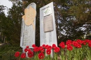 photo of rock garden