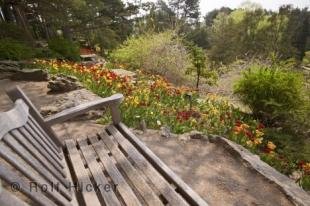 photo of Royal Botanical Gardens Bench