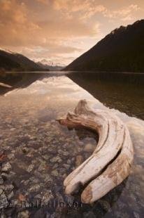 photo of family vacation british columbia