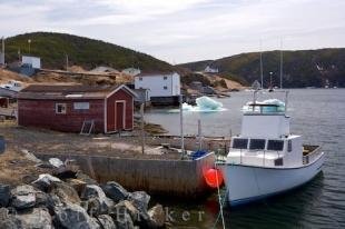 photo of St Lunaire Griquet Coastline Newfoundland Canada