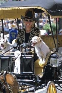 photo of Stampede Parade