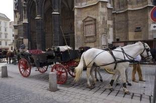 photo of Stephansdom Cathedral Horse Buggies Austria