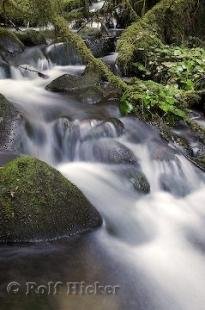 photo of Washington Stream Photo