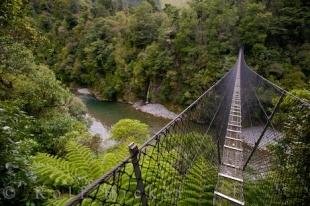 photo of Swing Bridge New Zealand