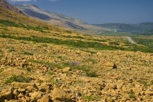 photo of Tablelands Highway Landscape