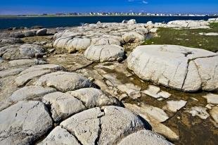 photo of Thrombolites Flowers Cove Newfoundland