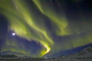 photo of Tombstone Mountain Northern Lights