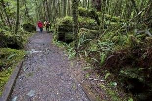 photo of Vancouver Island Hiking