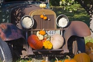 photo of Vintage Car Pumpkins Squash Display Autumn