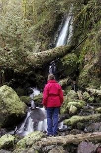 photo of washington waterfall