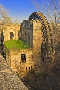 photo of Water wheel Molino de la Albolafia Cordoba