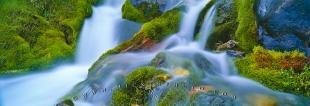 photo of Panorama Rainforest Green Moss Waterfall Haida Gwaii