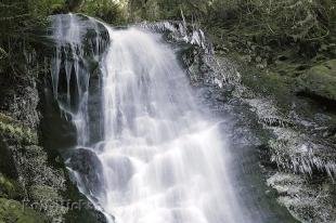 photo of Waterfall Image