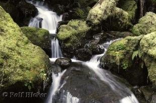 photo of waterfall photo rainforest