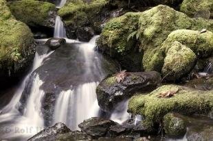 photo of waterfall poster