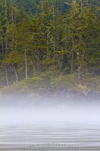 photo of Waterline Fog British Columbia Coastline