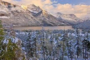 photo of Waterton Glacier International Peace Park Fresh Snow Forest