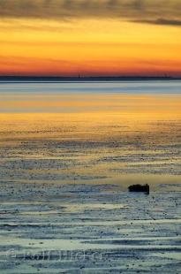 photo of West Coast Sunsets