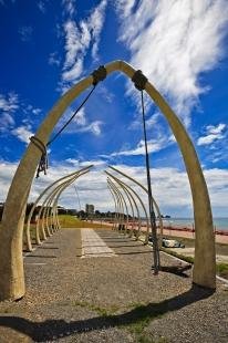 photo of Whale Bone Exhibit Taranaki New Zealand