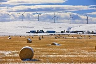 photo of Hay Bales Wind Turbines Alberta
