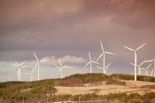 photo of Windmills
