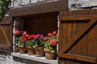 photo of Windowsill Flowers Hecho Aragon Spain