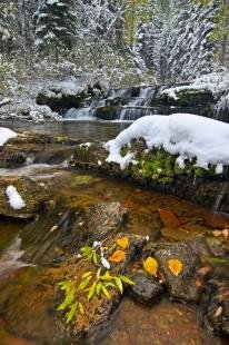 photo of Winter Waterfall Snow Scenery