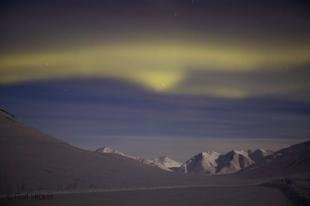 photo of Winter Aurora