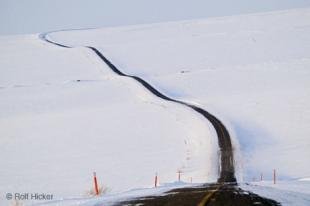 photo of Arctic Road