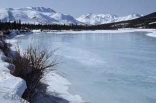 photo of Winter Scenery Alaska