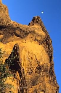 photo of Writing On Stone