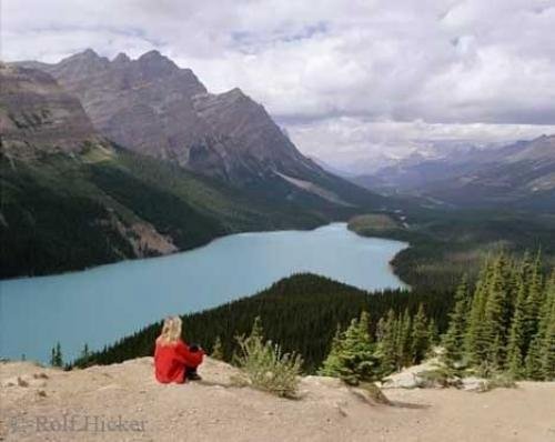 Photo: 
peyto lake alberta