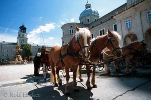 Photo: 
horse coach salzburg